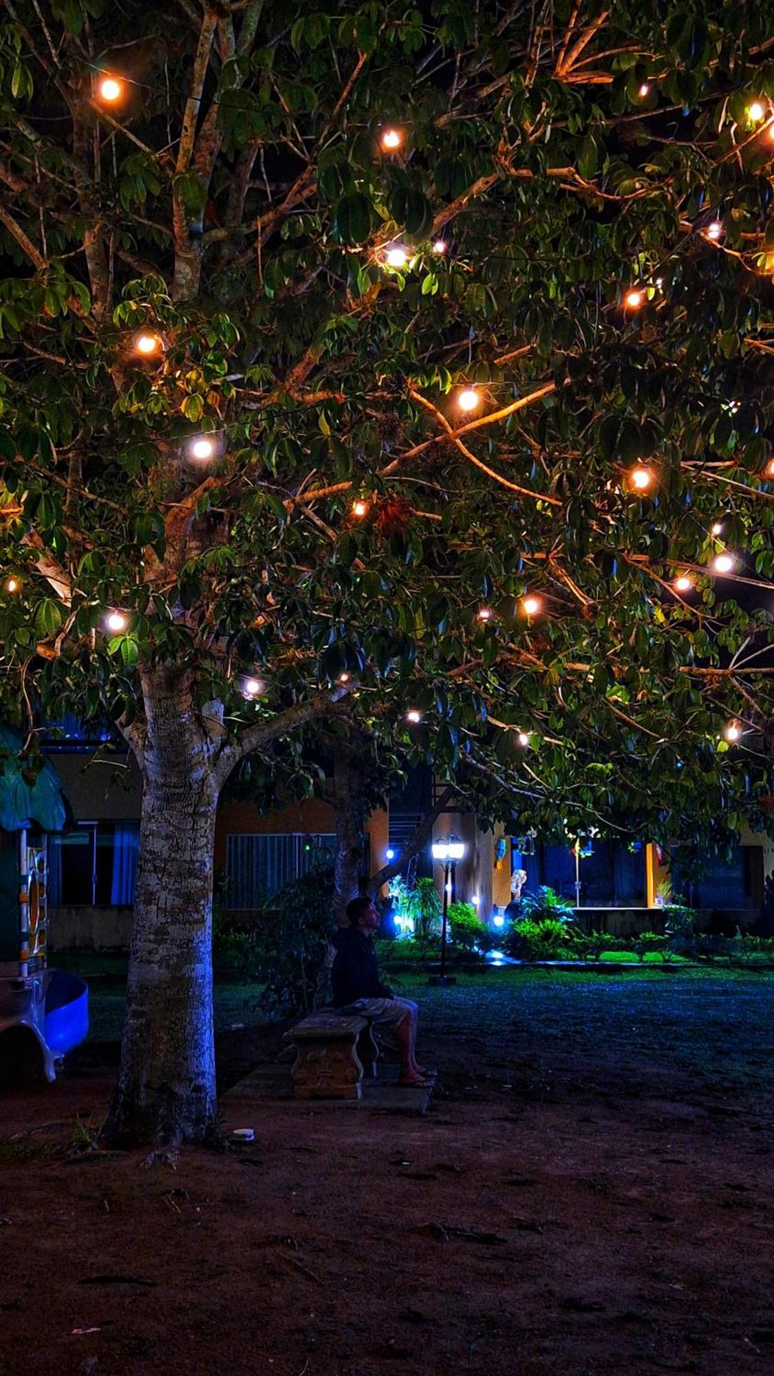 גרבאטה Winterville Flat 213 מראה חיצוני תמונה